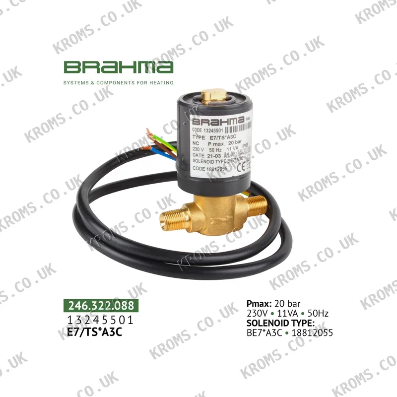 Brahma Solenoid valve 13245501