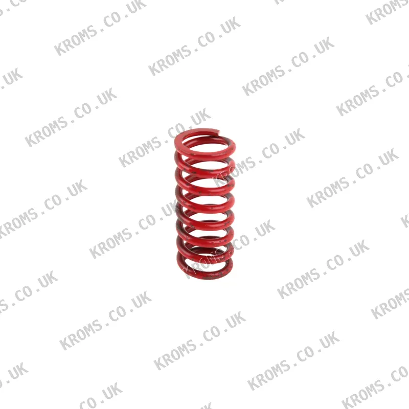 Siemens Spring AGA23