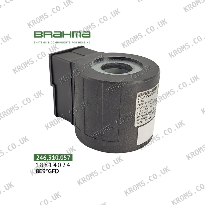 Brahma Valve coil BE9*GFD 18814024