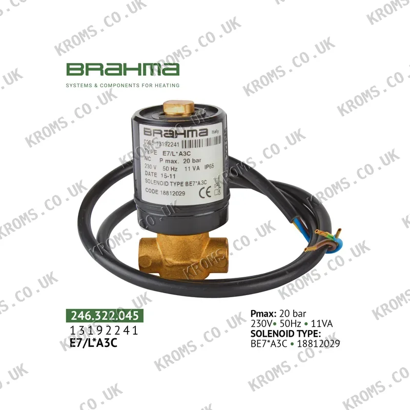 Brahma Oil valve 13192241